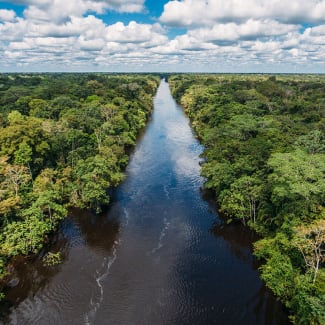 Aerial view of the Amazon river