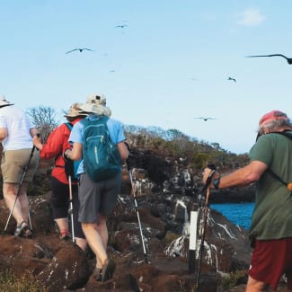 A group trekking