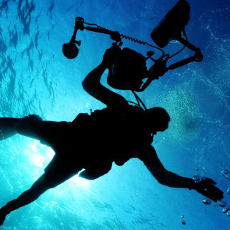 Divers seen from underneath