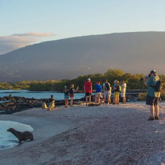 People on the beach watching sea lions