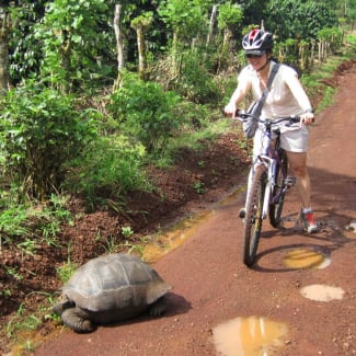 Biking by th etortoise