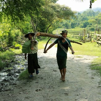 Farmers carrying a saw