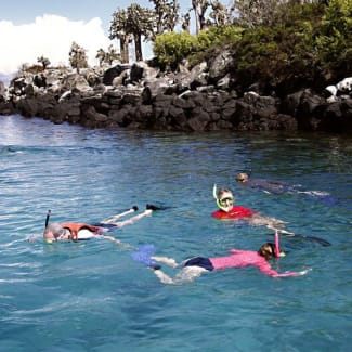 A group of people snorkelling