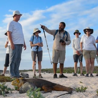 Group with a guide observing iguana