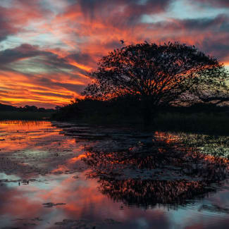 Sunset over the swamp area