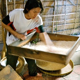 Vietnamese man sorting rice