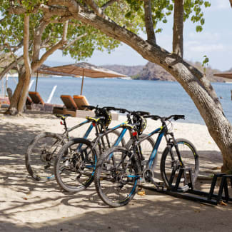 Bicycles stand on the beach