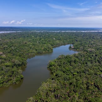 tour selva ecuador