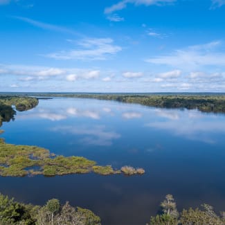 Panoramic View of the Amazon River