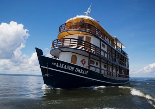 Amazon Dream on the river