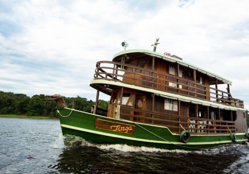 Best  Tours Brazil  Brazil Wildlife Expeditions 2024/25 - Rainforest  Cruises