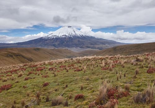 科多帕希火山山脉距离