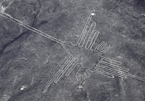 Nazca Lines Hummingbird