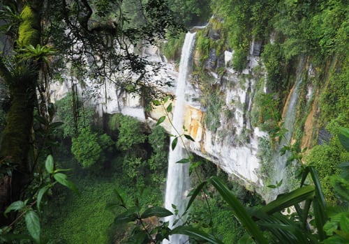 amazon cruises iquitos