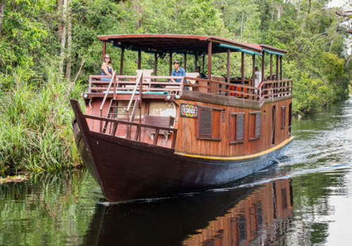 kalimantan orangutan boat tour