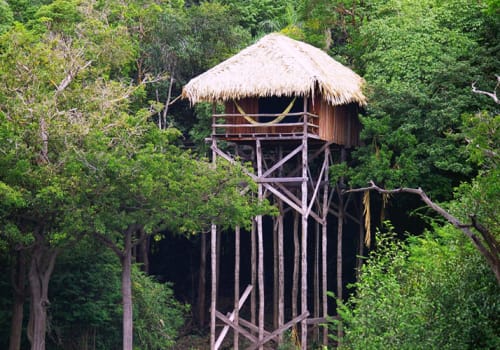 House on high stilts