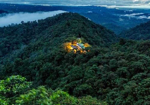 Lodge in the jungle view