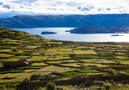 培养,空间,农场,湖,的的喀喀湖,在秘鲁
