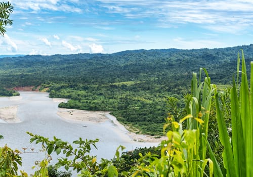 View,Of,The,Amazonia,Lush,Forest,From,Manu,National,Reserve