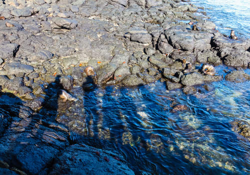 Shadows,Of,People,Projected,In,The,Water,And,Rocks,Next