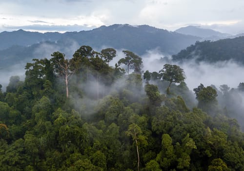 Aerial,View,Of,Mist,,Cloud,And,Fog,Hanging,Over