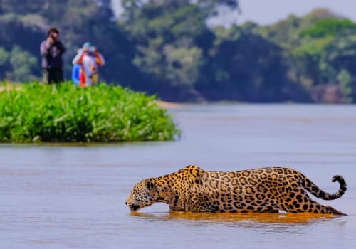 Tourists spotting wildlife In Pantanal