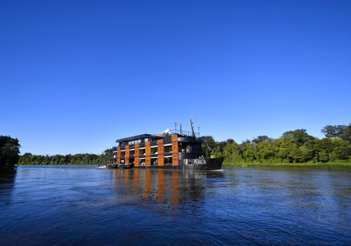 5 Best Places To Visit The  Jungle To See Wildlife - Rainforest  Cruises