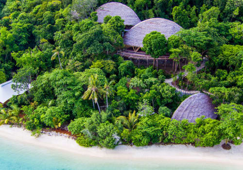 Wooden structures in the forest from above