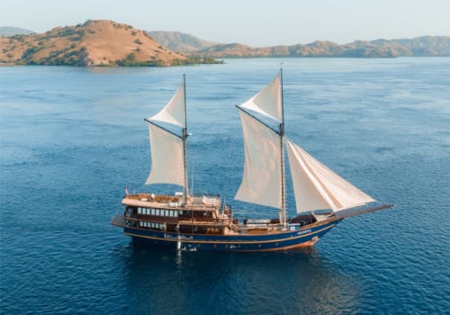 the cruise arti indonesia