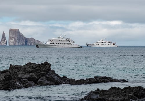 galapagos cruise coral