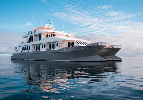 luxury family cruise galapagos