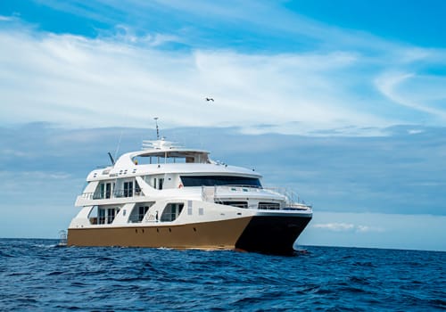 petrel galapagos cruise review