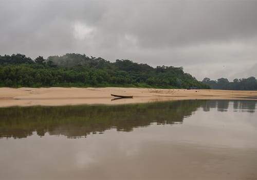 rainforest tour rio de janeiro