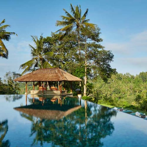 Infinity pool in the jungle