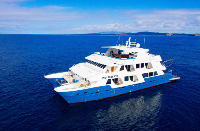 Cormorant ship Galapagos