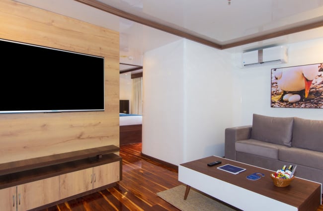 Sofa and a tv in the living room