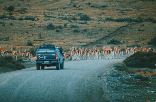 Driving to Punta Arenas