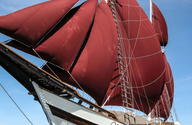 Red sails in the wind