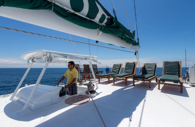 Man steering the boat