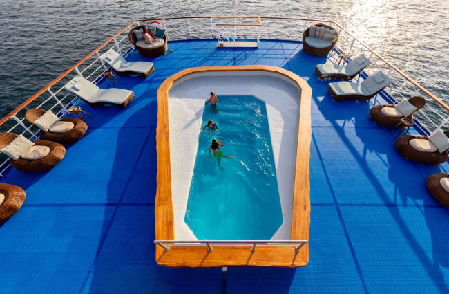 Aerial view of the pool