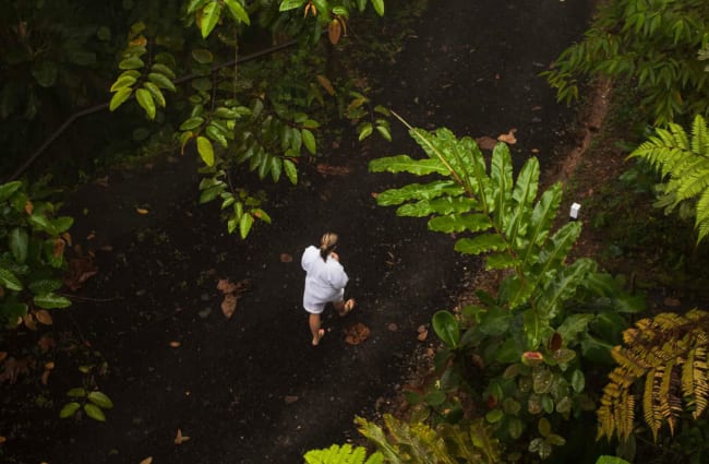 Man walking through the forest