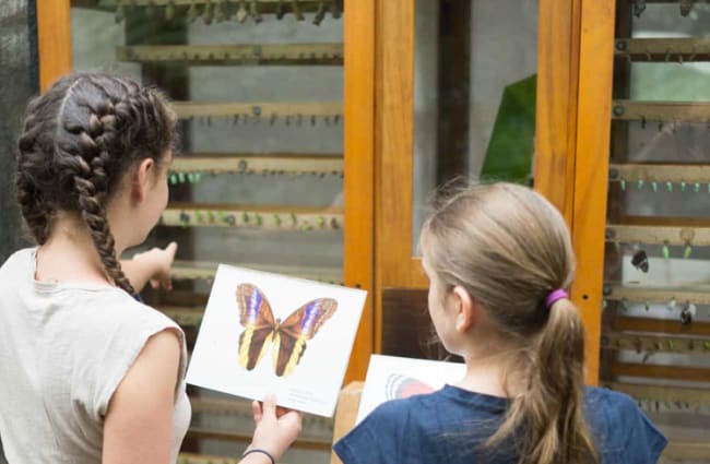 two girls looking at a butterfly image