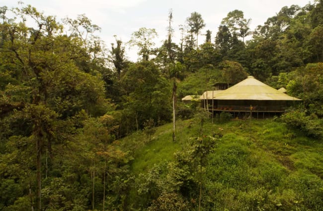 Hut in a greenery