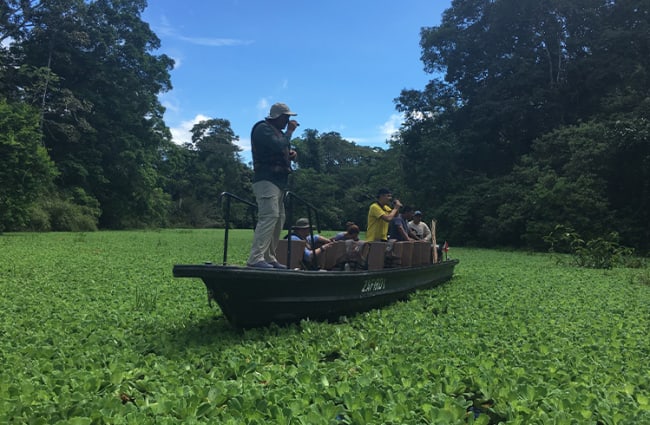 Skiff through water hyacinth amazon