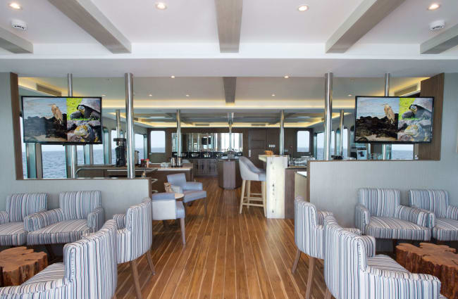 Tables and sofas at the llounge