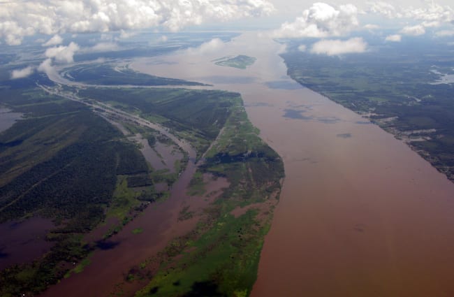 Anavilhanas National Park Brazil