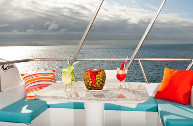 Tropical drinks on a table on a sun deck