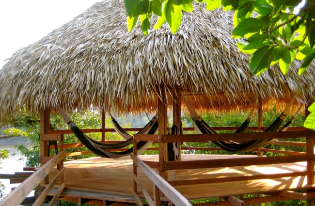 Hammocks in the bower with palm leaf roof