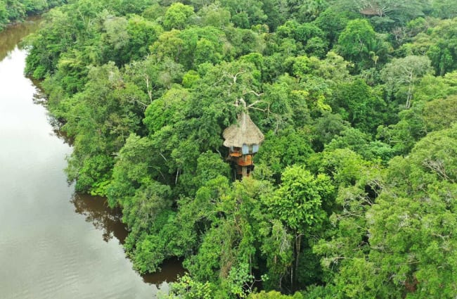 Aerial view of a tree house