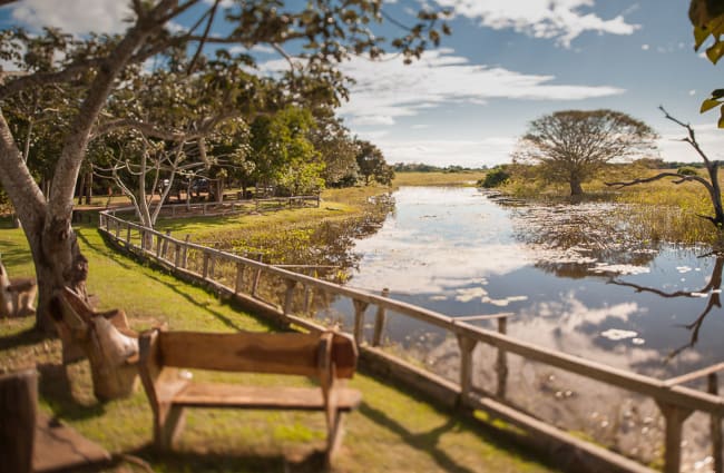 Bench by the river